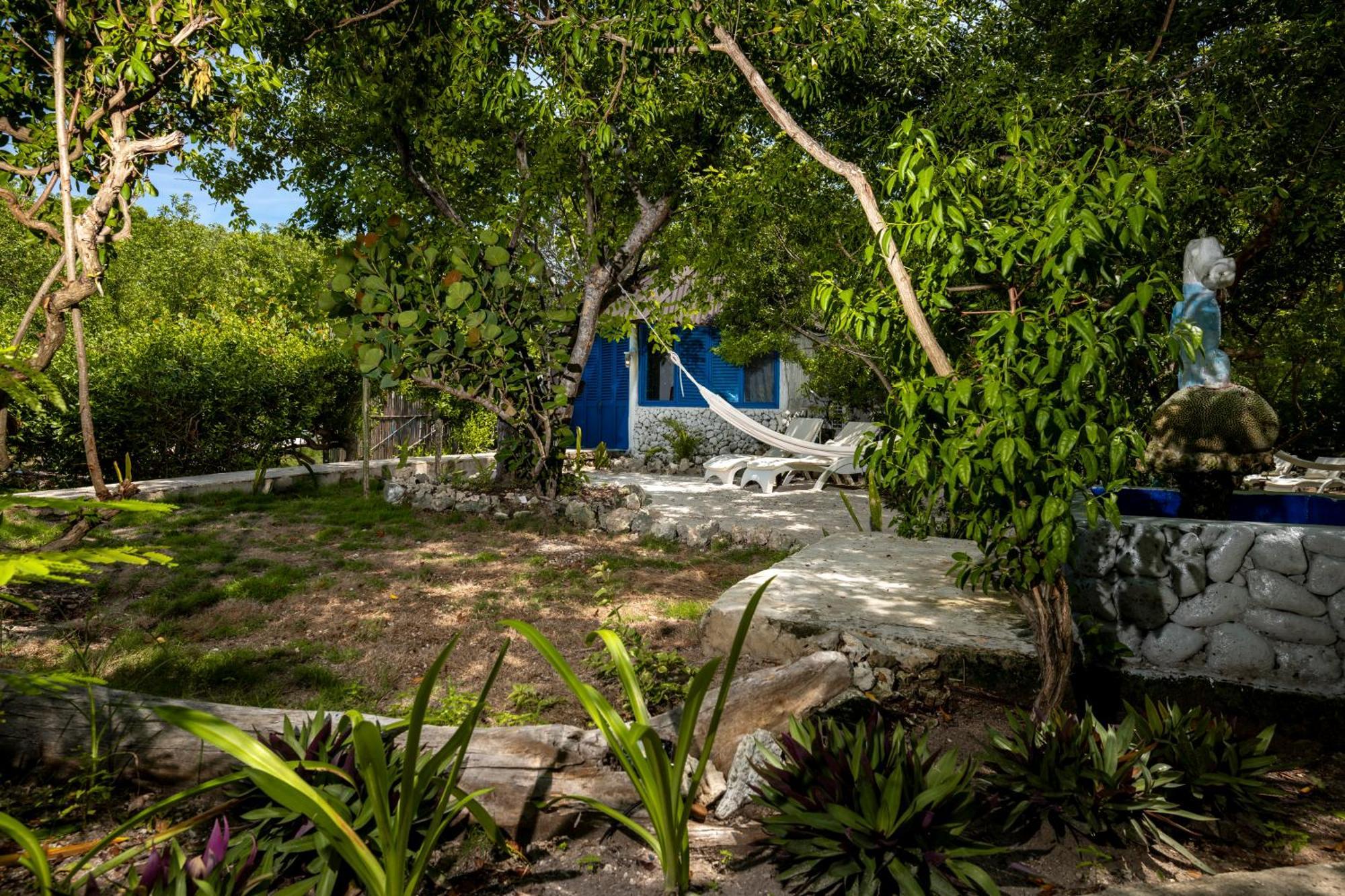 Hotel Coralina Island Isla Grande  Dış mekan fotoğraf